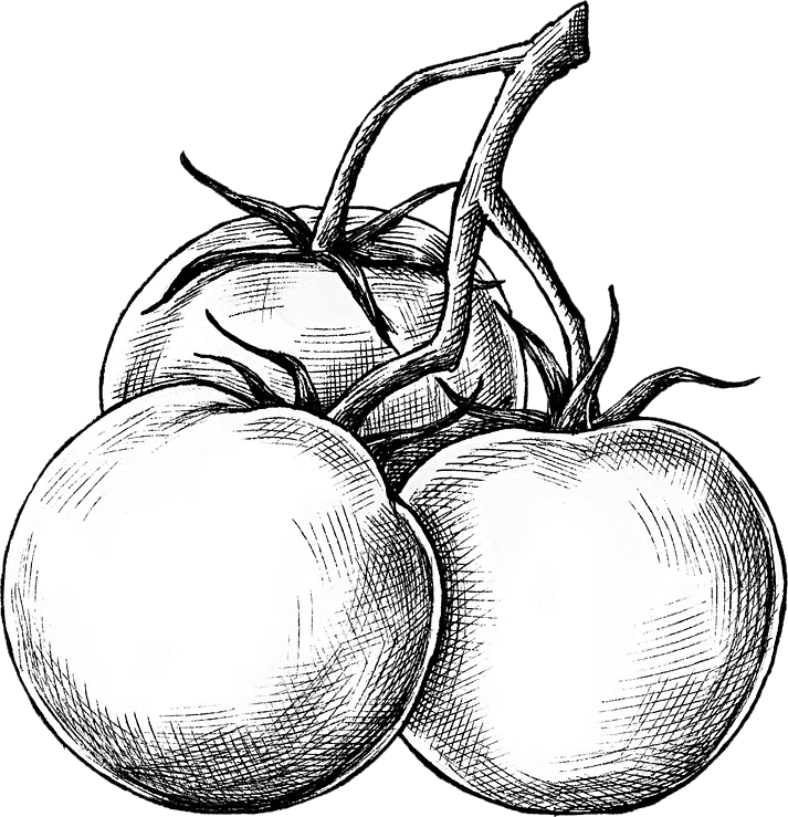 Manas%20Agri