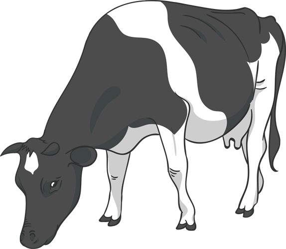 Manas%20Agri