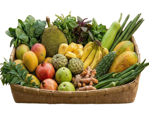 Manas%20Agri